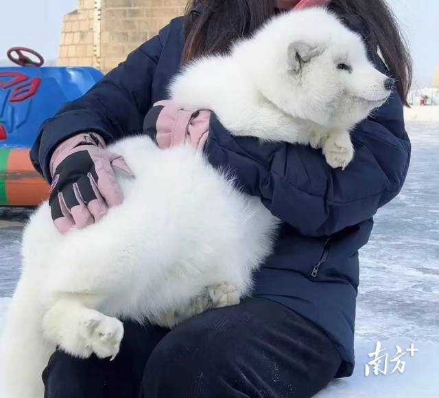 新华全媒+｜热度不减花样多 冰雪文旅乐逍遥