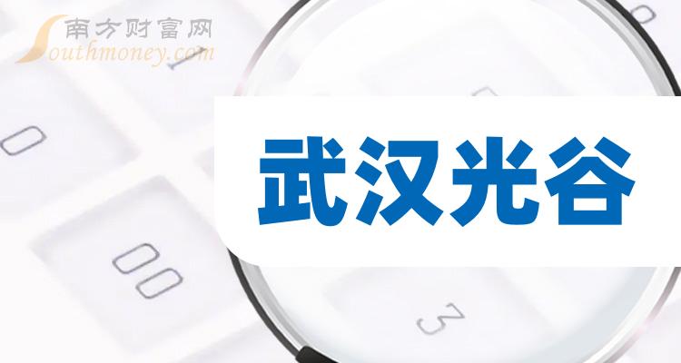武汉凡谷（002194）2023年年报简析：净利润减69.53%