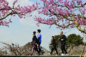 秀我中国｜以花为媒！滦州古城喊你来赏花