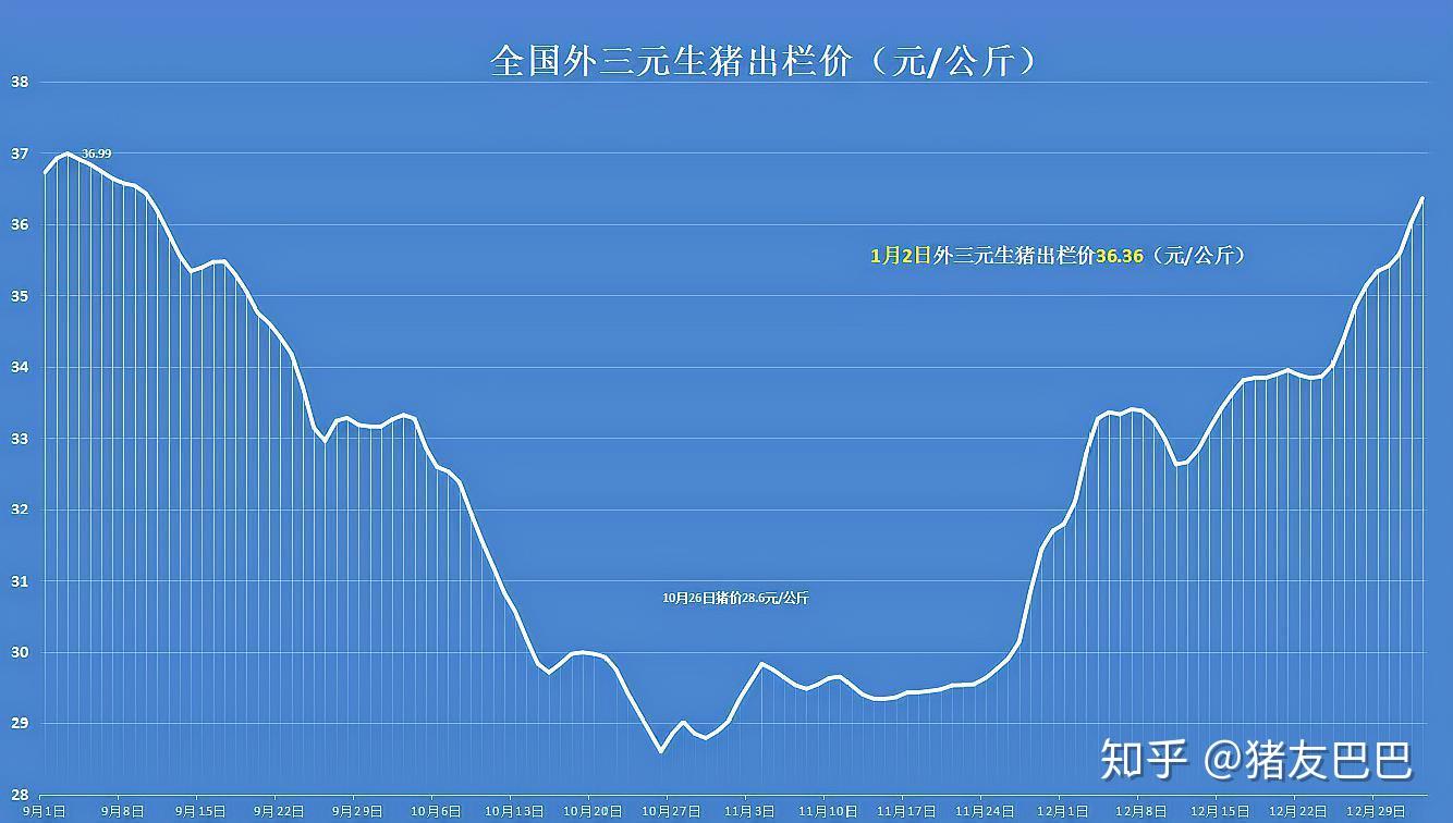 财经聚焦丨猪价恢复性上涨，能否持续？