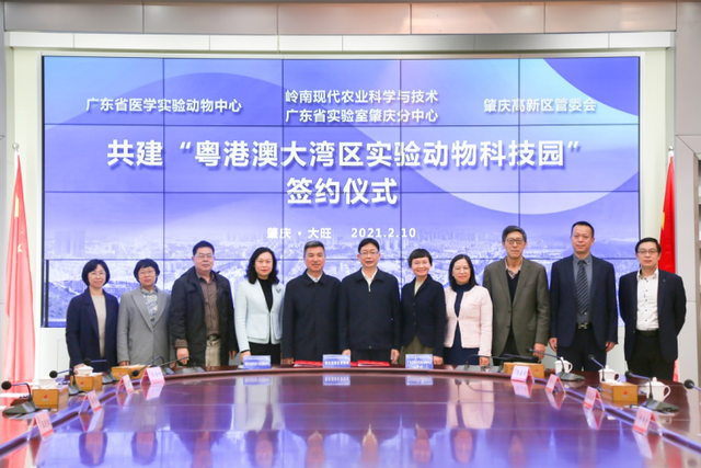 港深创科园与辉瑞建立战略合作 推动大湾区生命健康及医疗科技产业创新