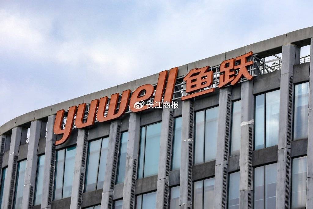 销售费用激增25%，鱼跃医疗高营销投入难挽业绩，疫情后首现双降如何破局？