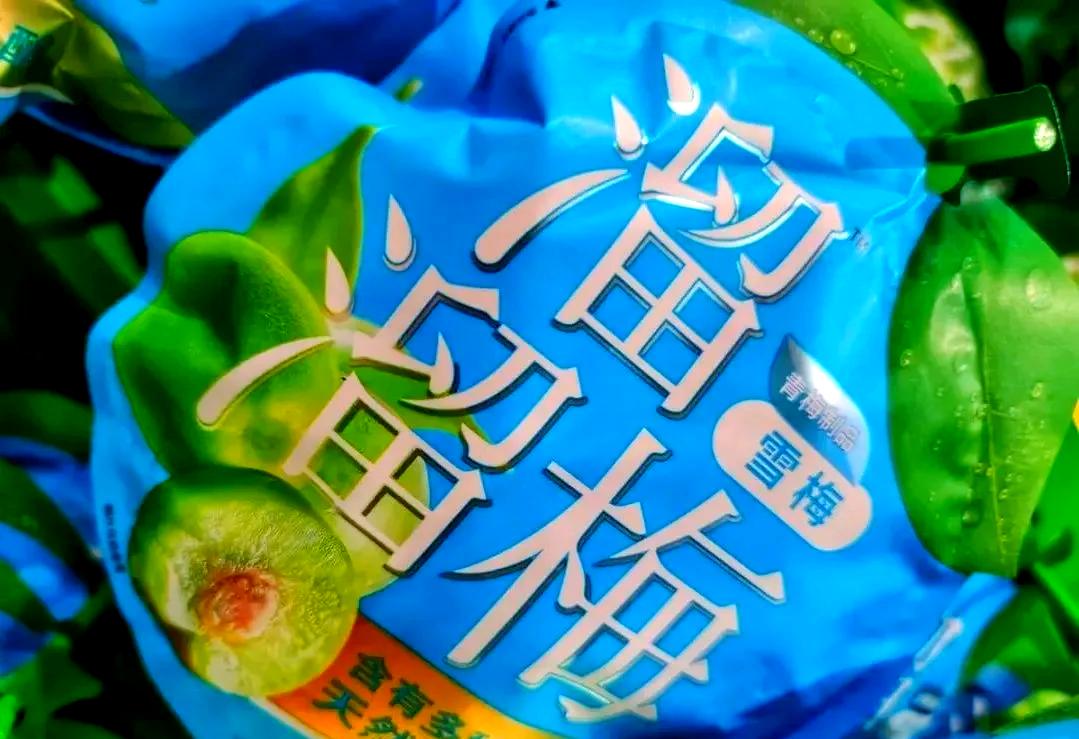 溜溜梅,IPO了！
